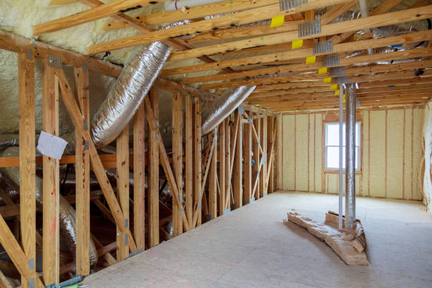Best Insulation Inspection Services  in Landis, NC