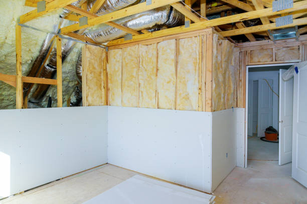 Best Local Insulation Services  in Landis, NC