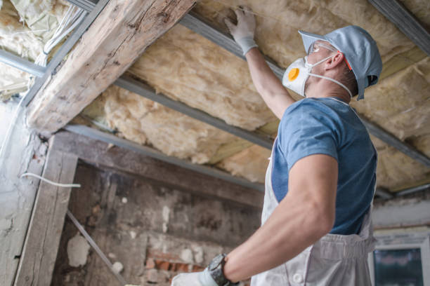 Best Wall Insulation Contractor  in Landis, NC
