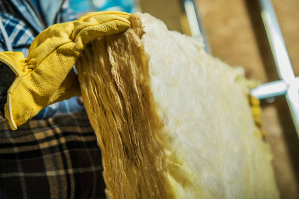 Best Insulation Contractors for Homes  in Landis, NC