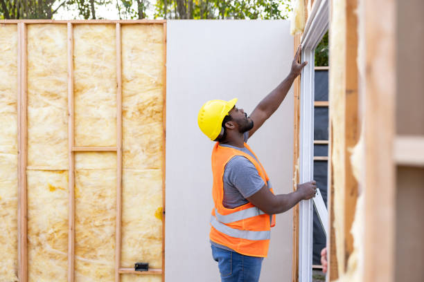 Best Insulation Repair Services  in Landis, NC