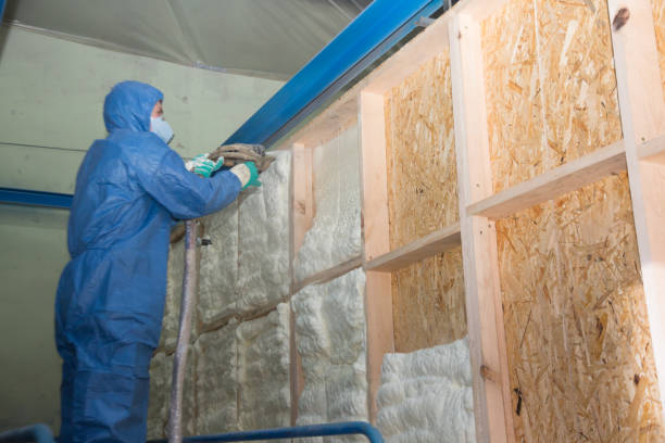 Best Insulation Contractor Near Me  in Landis, NC