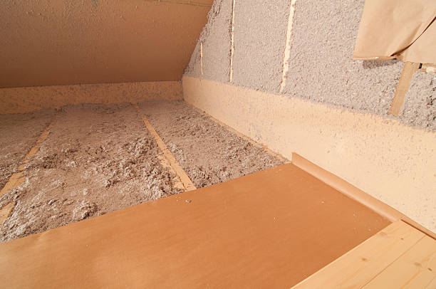 Best Insulation Removal  in Landis, NC