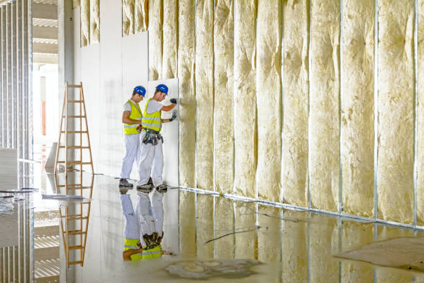 Garage Insulation Installation in Landis, NC